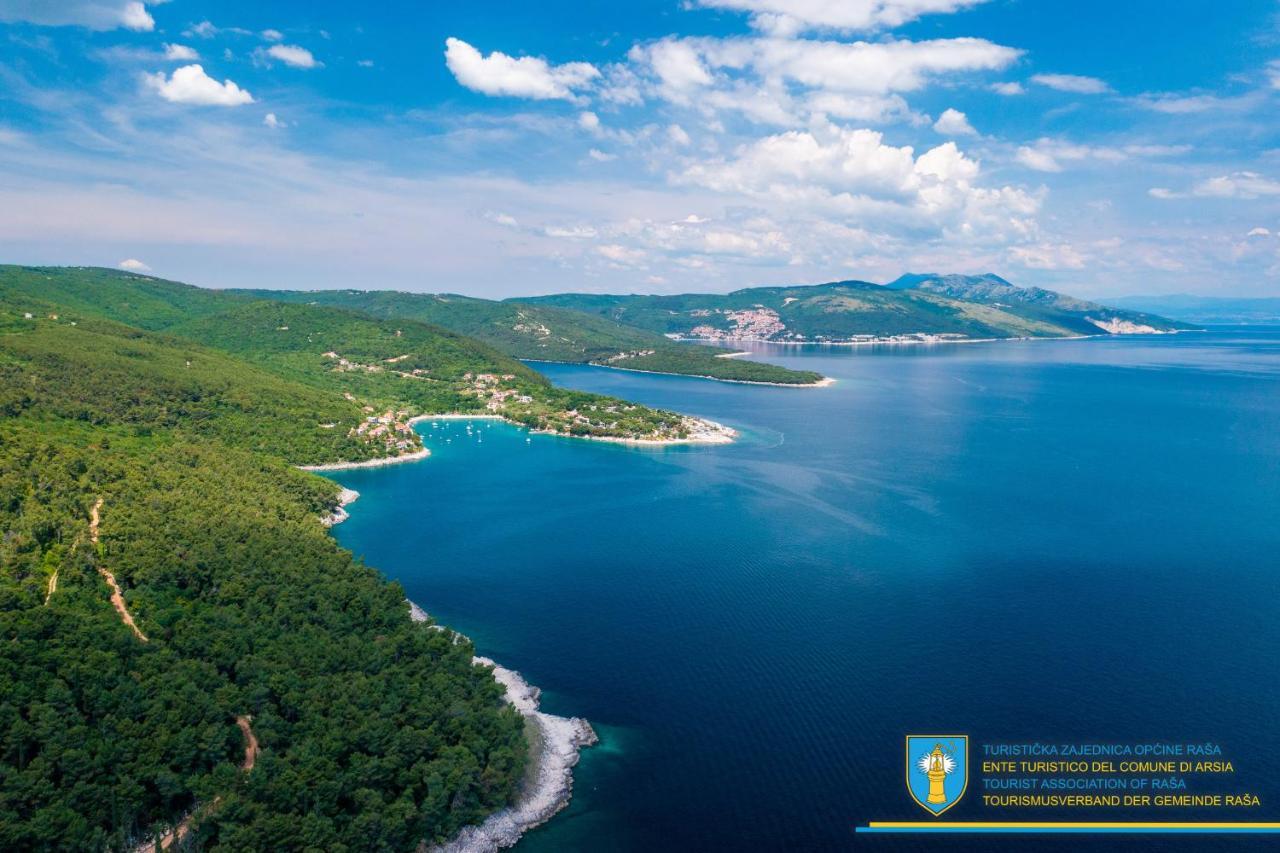 Villa Amber Yourcroatiaholiday Drenje  Exteriör bild
