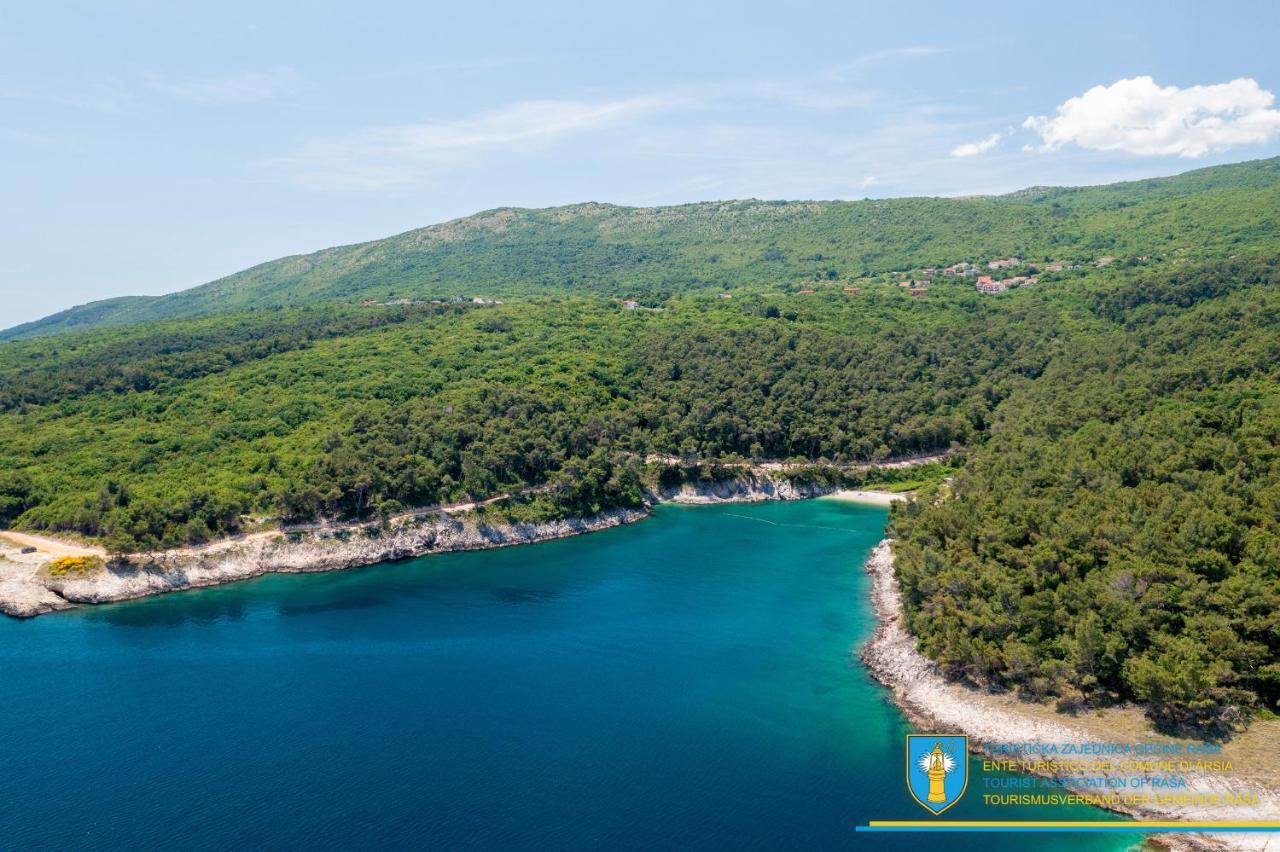 Villa Amber Yourcroatiaholiday Drenje  Exteriör bild